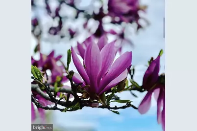 1580 Spring Gate Drive #4213, McLean, VA 22102 - Photo 32