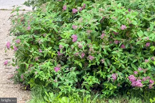 8608 Queen Elizabeth Blvd, Annandale, VA 22003 - Photo 64