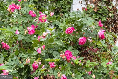 8608 Queen Elizabeth Boulevard, Annandale, VA 22003 - Photo 70