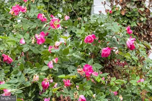 8608 Queen Elizabeth Blvd, Annandale, VA 22003 - Photo 70