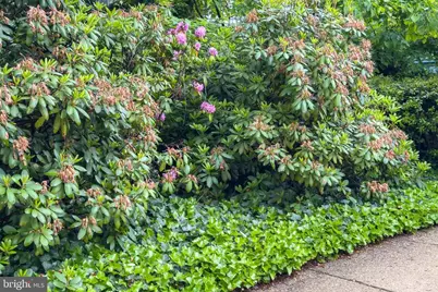 8608 Queen Elizabeth Boulevard, Annandale, VA 22003 - Photo 66