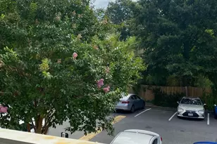 5606 Bloomfield Dr, Alexandria, VA 22312 - Photo 24