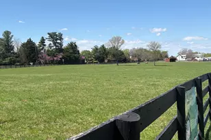 13392 Point Rider Ln, Herndon, VA 20171 - Photo 14