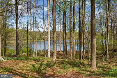 9217 Dorothy Lane, Springfield, VA 22153 - Photo 54