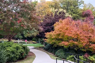 5904 Mt Eagle Dr, Alexandria, VA 22303 - Photo 50