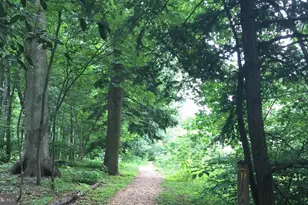 5904 Mt Eagle Dr, Alexandria, VA 22303 - Photo 20