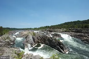 11922 Holly Spring Dr, Great Falls, VA 22066 - Photo 84