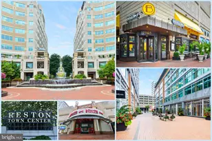 11922 Holly Spring Dr, Great Falls, VA 22066 - Photo 64