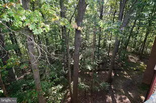 11803 Breton Ct, Reston, VA 20191 - Photo 20