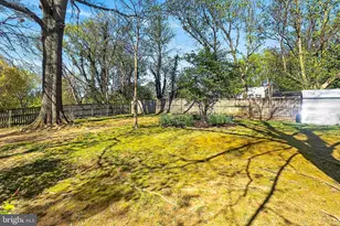 3142 Holloway Rd, Falls Church, VA 22042 - Photo 38