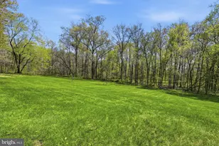 4713 Logwood Ln, Chantilly, VA 20151 - Photo 52