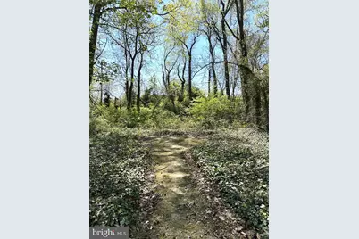2419 Beacon Hill Road, Alexandria, VA 22306 - Photo 4