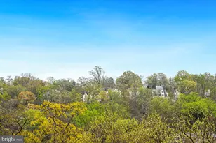 5904 Mt Eagle Dr, Alexandria, VA 22303 - Photo 8