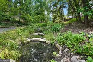 5904 Mt Eagle Dr, Alexandria, VA 22303 - Photo 94