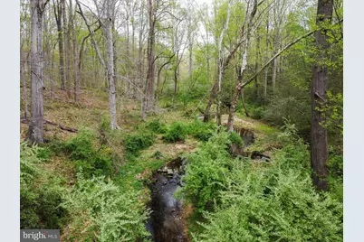 11720 Amkin Drive, Clifton, VA 20124 - Photo 88