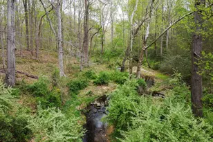 11720 Amkin Dr, Clifton, VA 20124 - Photo 88