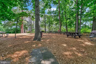 5904 Mount Eagle Drive #812, Alexandria, VA 22303 - Photo 58