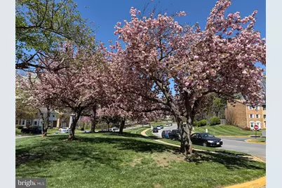 6302 Paddington Lane, Centreville, VA 20120 - Photo 4