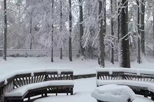 6209 Fernleigh Blvd, Springfield, VA 22152 - Photo 2