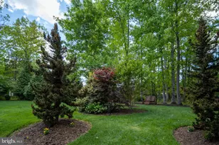 14541 Old Mill Rd, Centreville, VA 20121 - Photo 94
