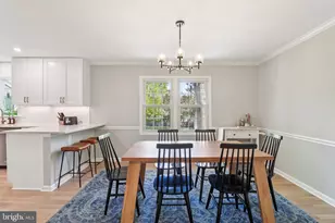 1707 Galloway Dr, Vienna, VA 22182 - Photo 12