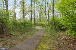 13113 Nestlewood Ct, Herndon, VA 20171 - Photo 46