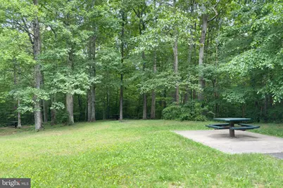 9202 Dorothy Lane, Springfield, VA 22153 - Photo 54