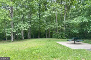 9202 Dorothy Ln, Springfield, VA 22153 - Photo 54