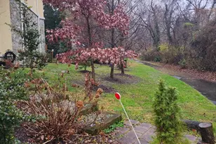 6953 Pine Crest Ave, McLean, VA 22101 - Photo 2