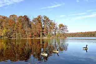 7706 Lakeloft Ct, Fairfax Station, VA 22039 - Photo 42