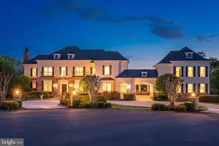 9113 Dara Ln, Great Falls, VA 22066 - Photo 66