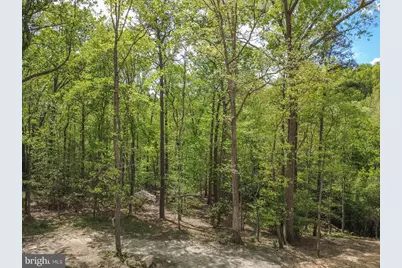 7322 Lackawanna Drive, Springfield, VA 22150 - Photo 14