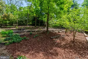 7413 Rebecca Dr, Alexandria, VA 22307 - Photo 58