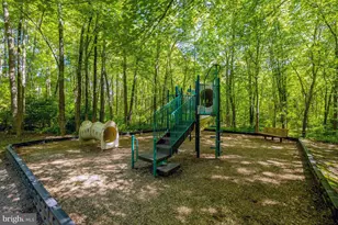 11413 Hollow Timber Way, Reston, VA 20194 - Photo 60
