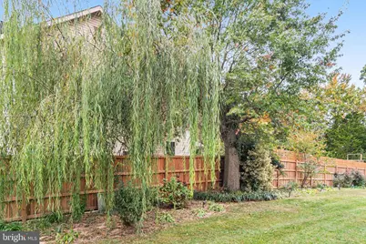 3444 Washington Drive, Falls Church, VA 22041 - Photo 4
