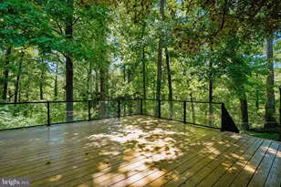4207 Adrienne Dr, Alexandria, VA 22309 - Photo 58
