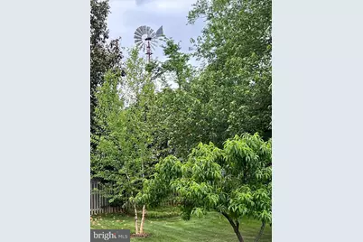 1920 Windmill Lane, Alexandria, VA 22307 - Photo 2