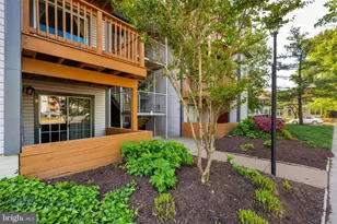 6901 Victoria Dr, Alexandria, VA 22310 - Photo 6
