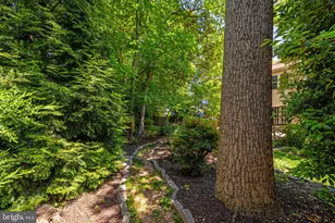 9716 Bunchberry Pl, Vienna, VA 22181 - Photo 120
