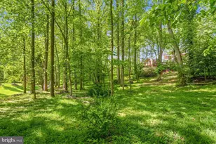 8545 Old Dominion Dr, McLean, VA 22102 - Photo 28