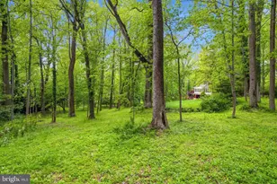 8545 Old Dominion Dr, McLean, VA 22102 - Photo 24