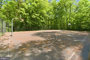 7211 Laketree Dr, Fairfax Station, VA 22039 - Photo 80