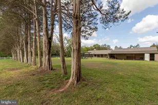 15027 Braddock Rd, Centreville, VA 20120 - Photo 6