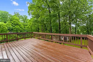 4441 Village Dr, Fairfax, VA 22030 - Photo 86