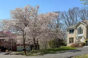1210 Cameo Ct, Herndon, VA 20170 - Photo 62