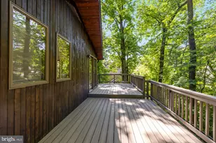 6412 Recreation Ln, Falls Church, VA 22041 - Photo 46