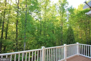 7303 Hayfield Rd, Alexandria, VA 22315 - Photo 36