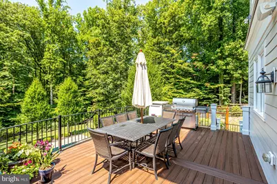 248 Springvale Road, Great Falls, VA 22066 - Photo 64