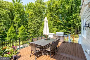 248 Springvale Rd, Great Falls, VA 22066 - Photo 64
