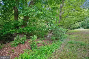 10806 Oldfield Dr, Reston, VA 20191 - Photo 40